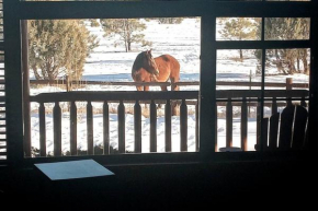 Cabin with Wild Horses, Fireplace, Dog Friendly & StarLink